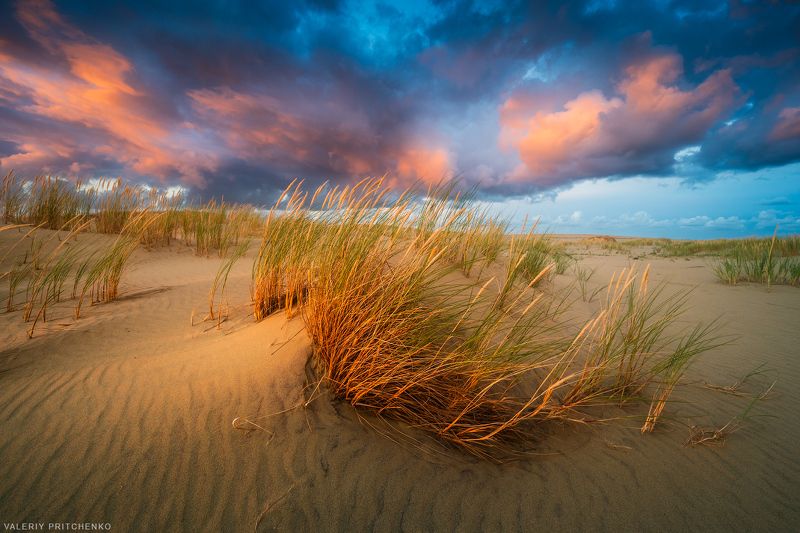 В дюнахphoto preview