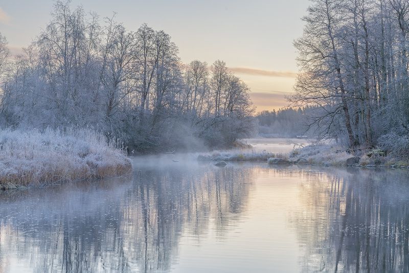 november, frost, morning, autumn Frosty Novemberphoto preview