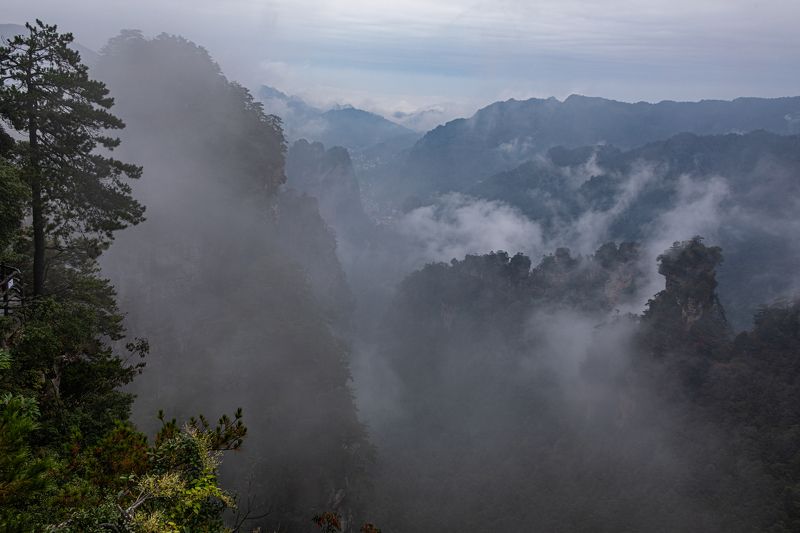 Китай. Горы. Аватар. Туман. Скалы. Пейзажи Аватараphoto preview