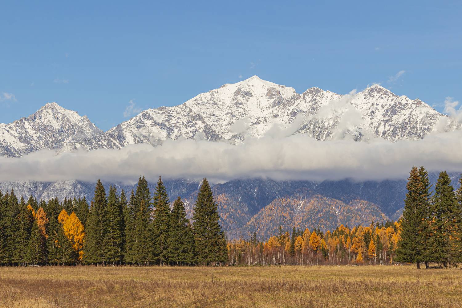 Граница. Автор: Koledova Irina , Koledova Irina