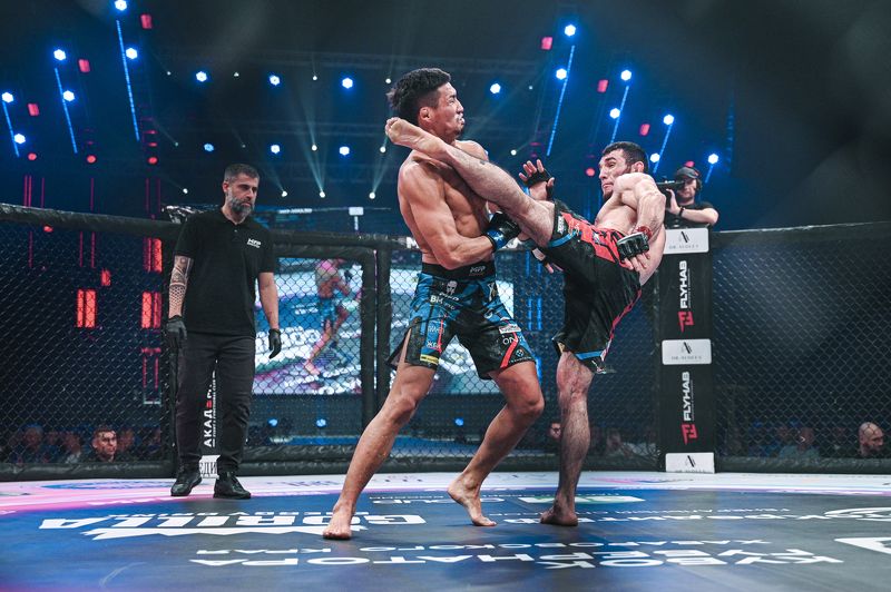 ММА, смешанные единоборства ММАphoto preview