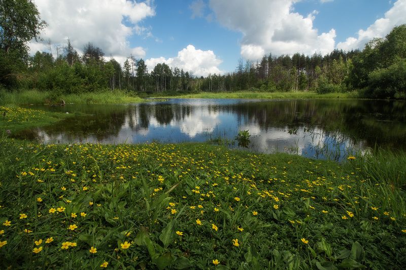 Озерцоphoto preview