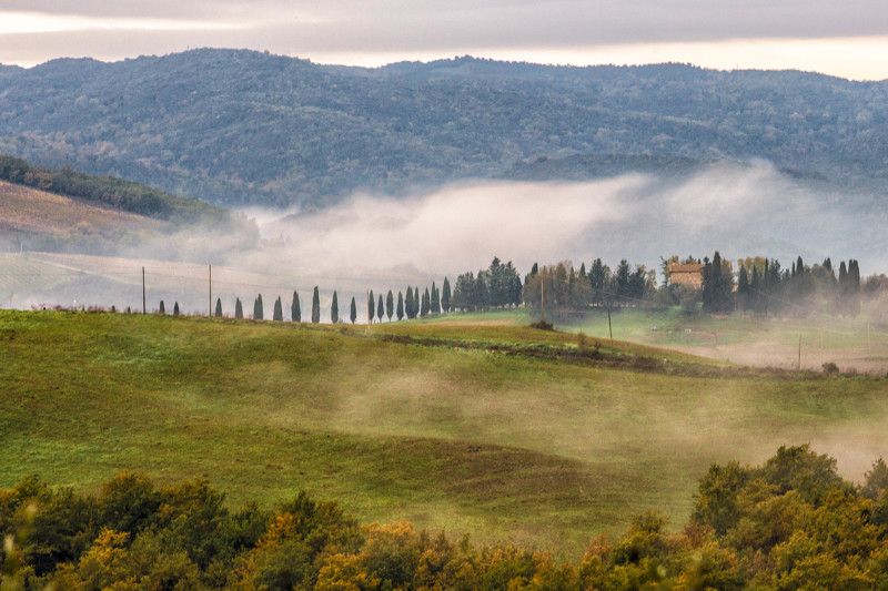 Утро туманноеphoto preview