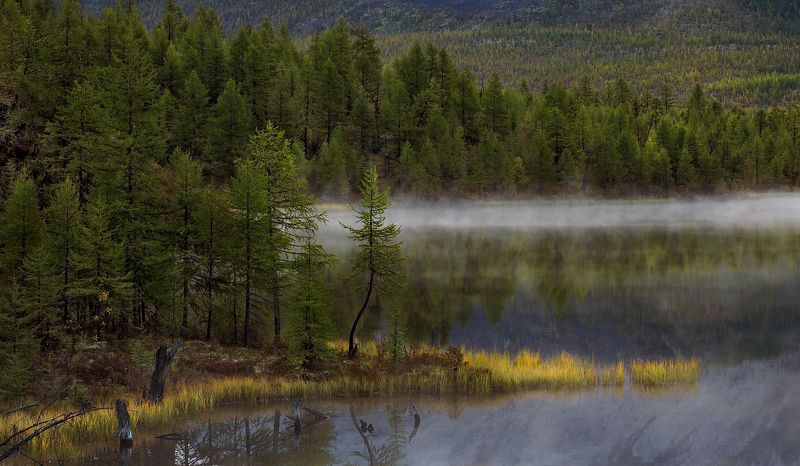 Прохладным осенним утромphoto preview