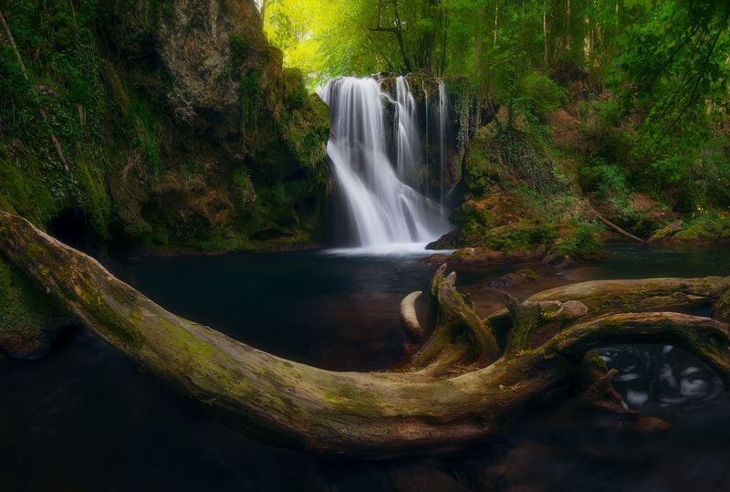 Bentwoodphoto preview