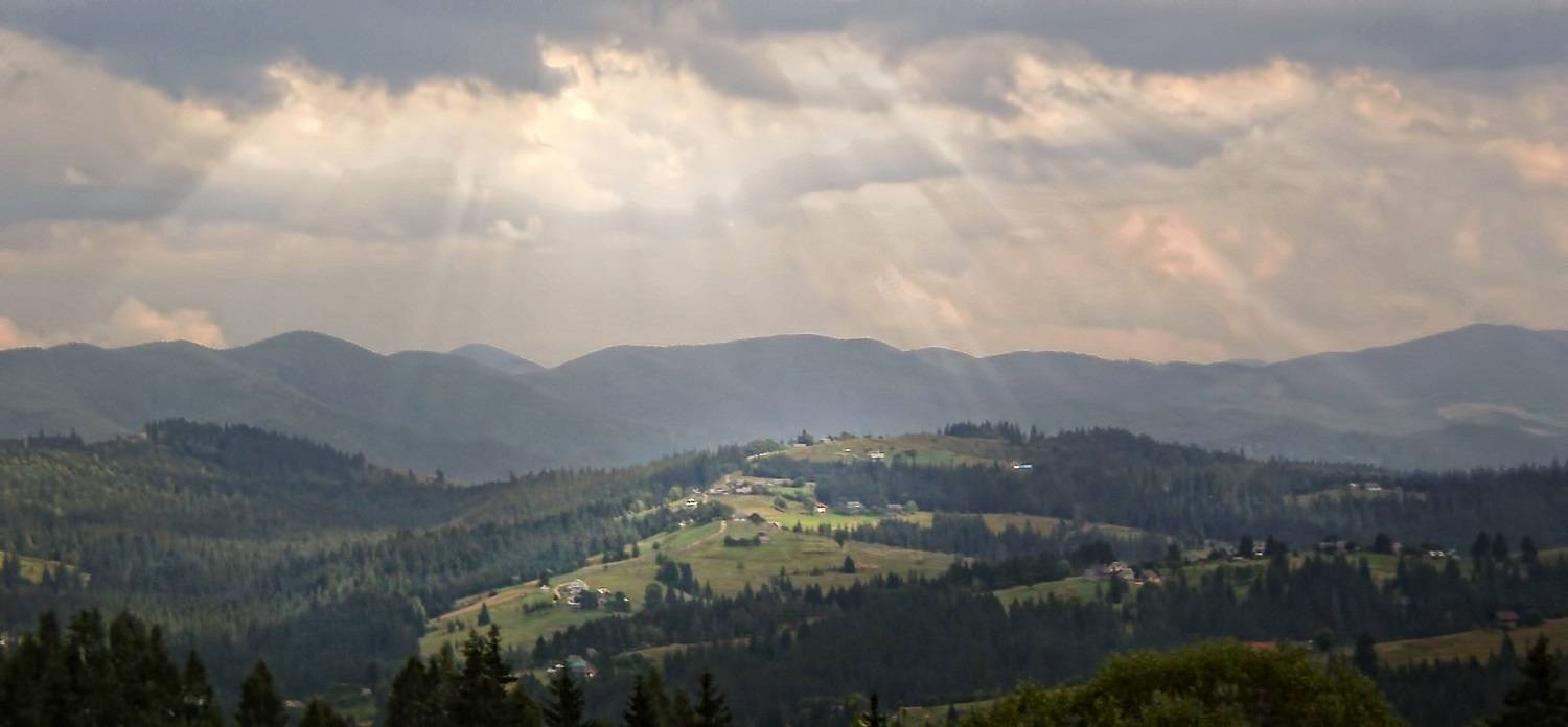 Автор: Савоцкий Роман , Савоцкий Роман