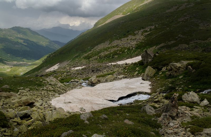 Снежник.photo preview