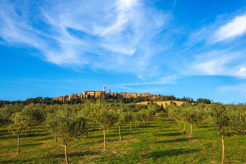 Пиенцаphoto preview