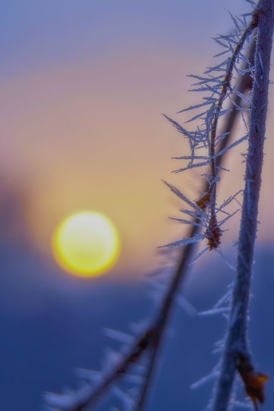 Холодное зимнее утроphoto preview