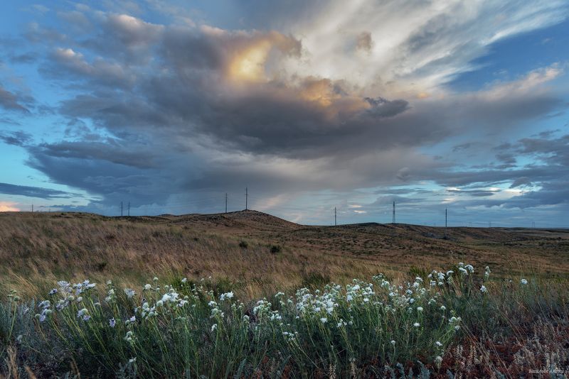 оренбургская область, природа, степь, вечер Вечер за городомphoto preview