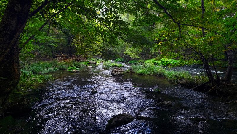 Речка Черная. Крым. фото превью
