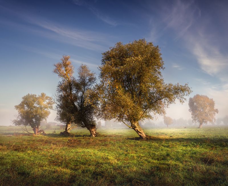 Poranekphoto preview