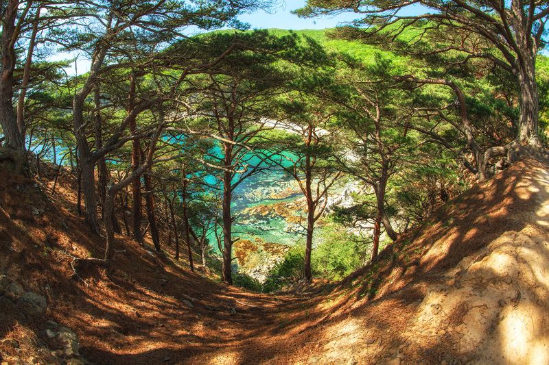 фото превью