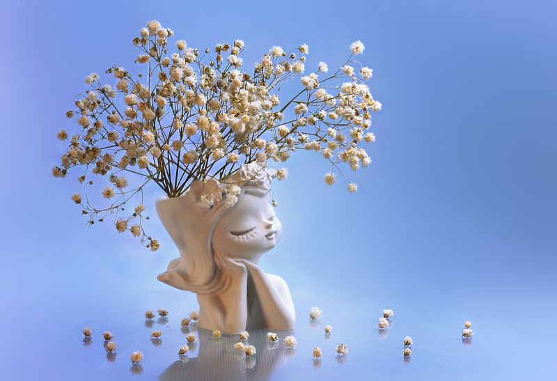 Этюд с гипсофилойphoto preview