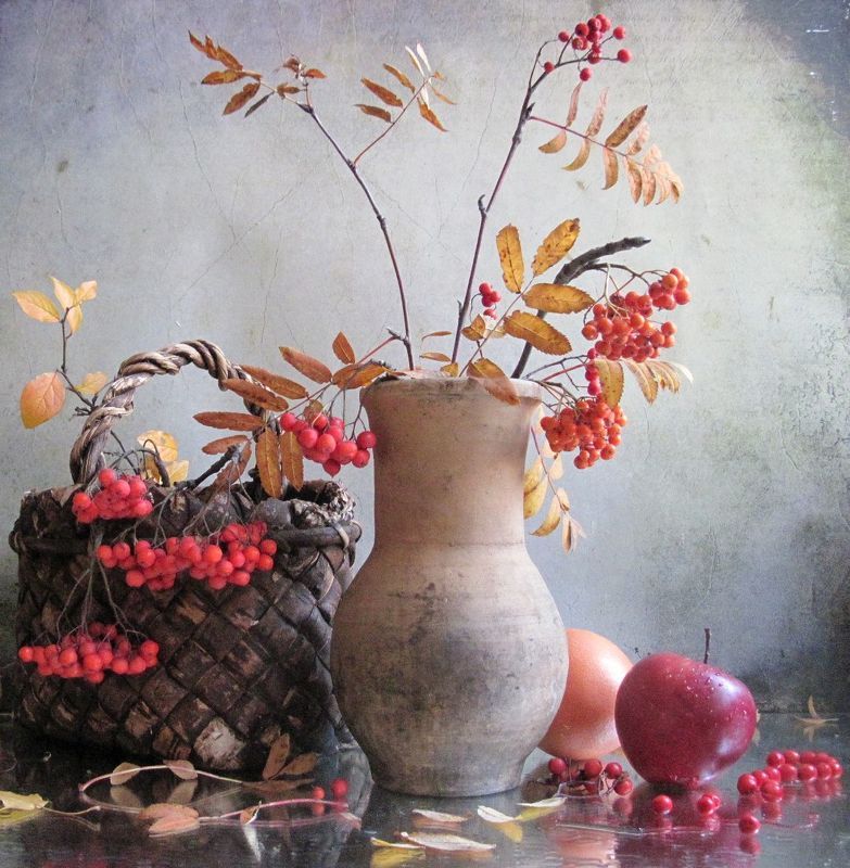 ветки, рябина, винтаж, осень Рябинка - любимкаphoto preview