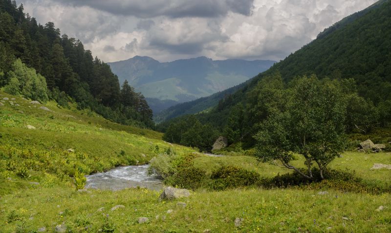 У реки.photo preview