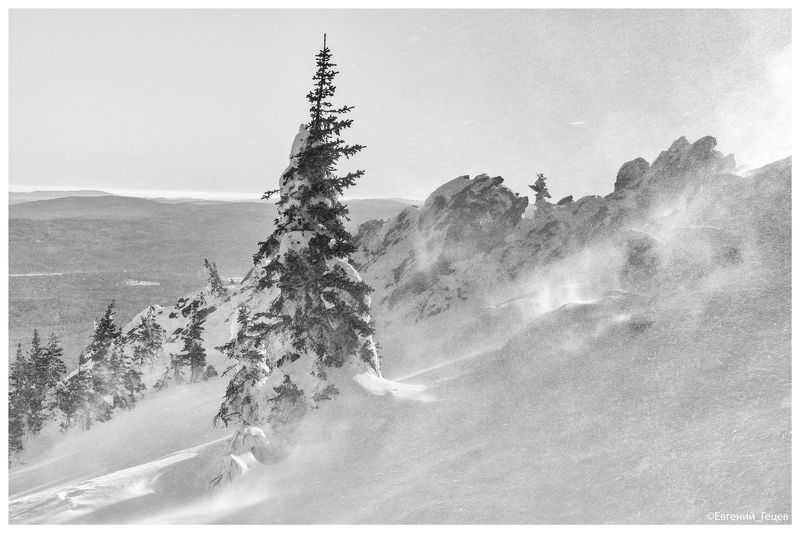 Метелицаphoto preview