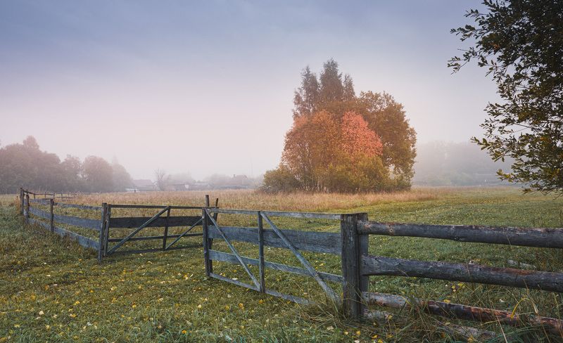 осень туман Торбеево Осенние мотивы... фото превью