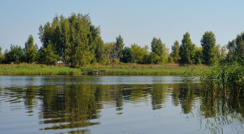 У пруда.photo preview