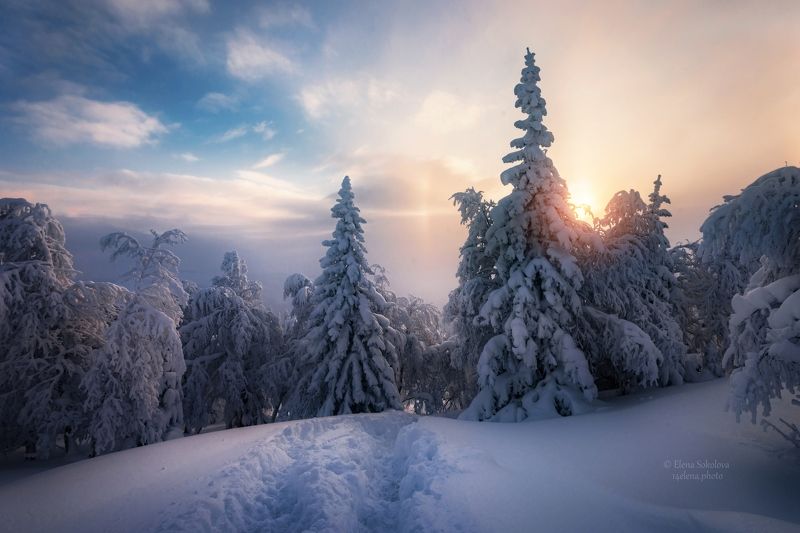 уван, гора уван, челябинская область, зимний лес, зимний пейзаж Зимний вечерphoto preview