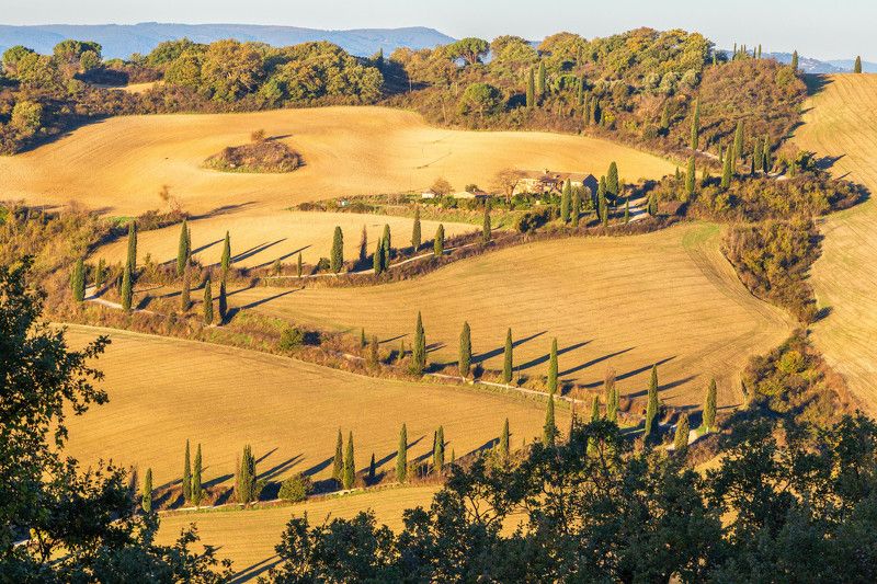 Тосканский коверphoto preview