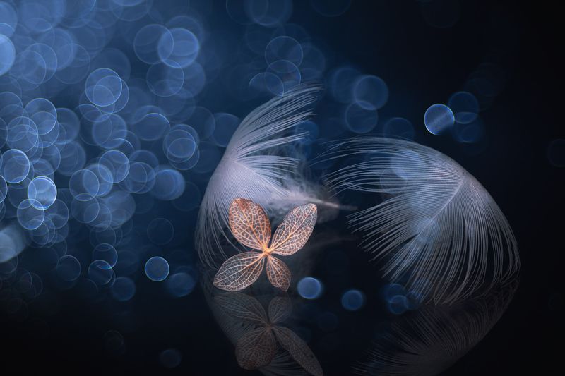 close-up Unpretentious silence фото превью