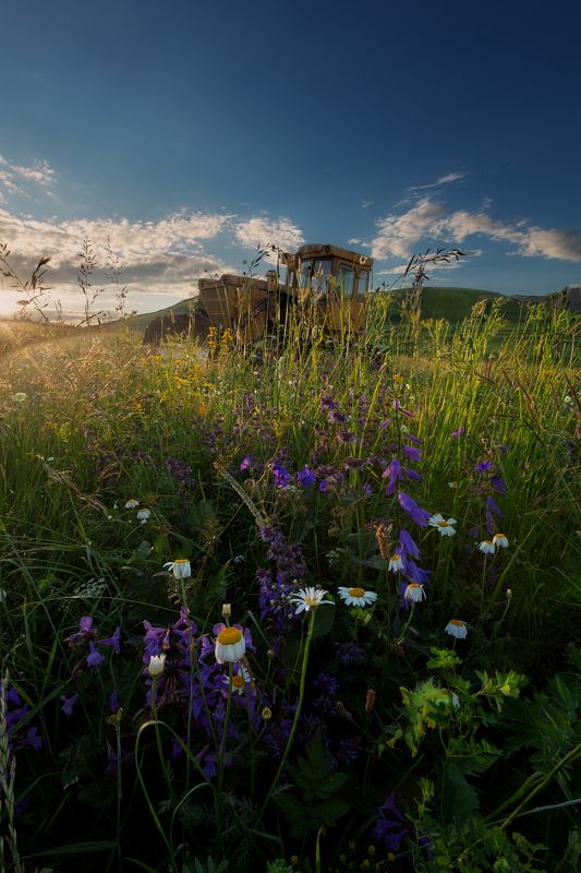 дагестан, горы, лето, поля, цветы, техника, день, закаты,  В лучах закатаphoto preview