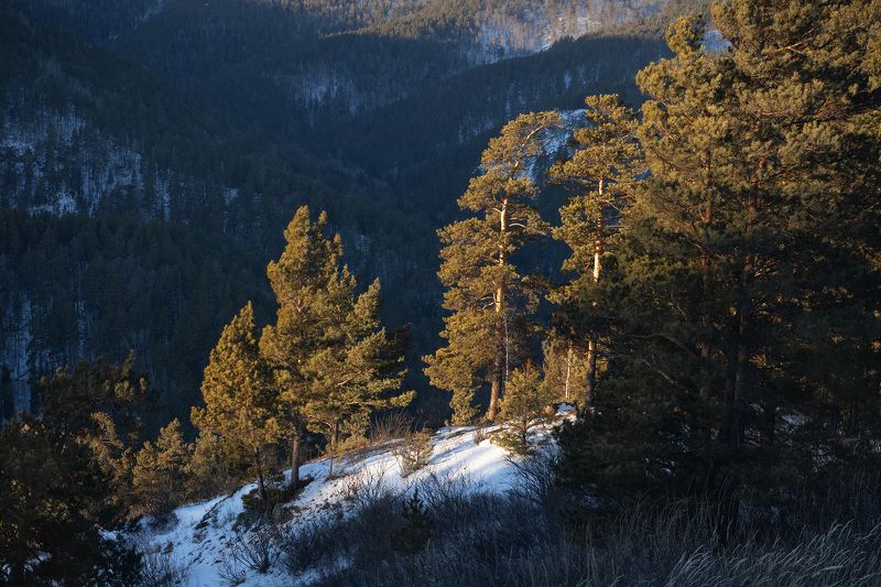 Зимнее утроphoto preview