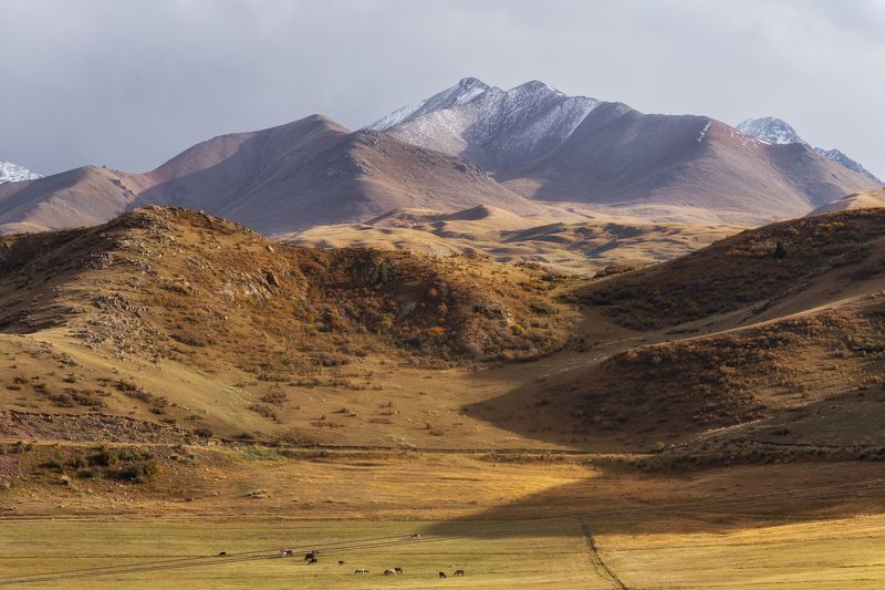 Кыргызстанphoto preview