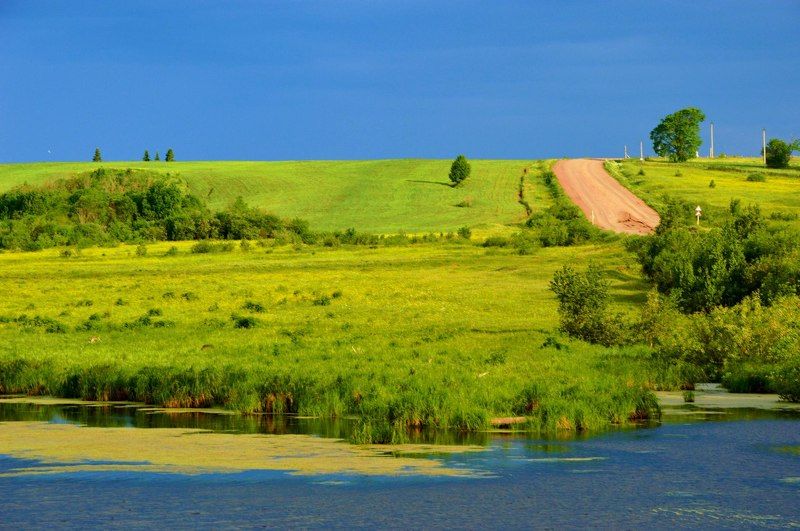Лиза, Russia