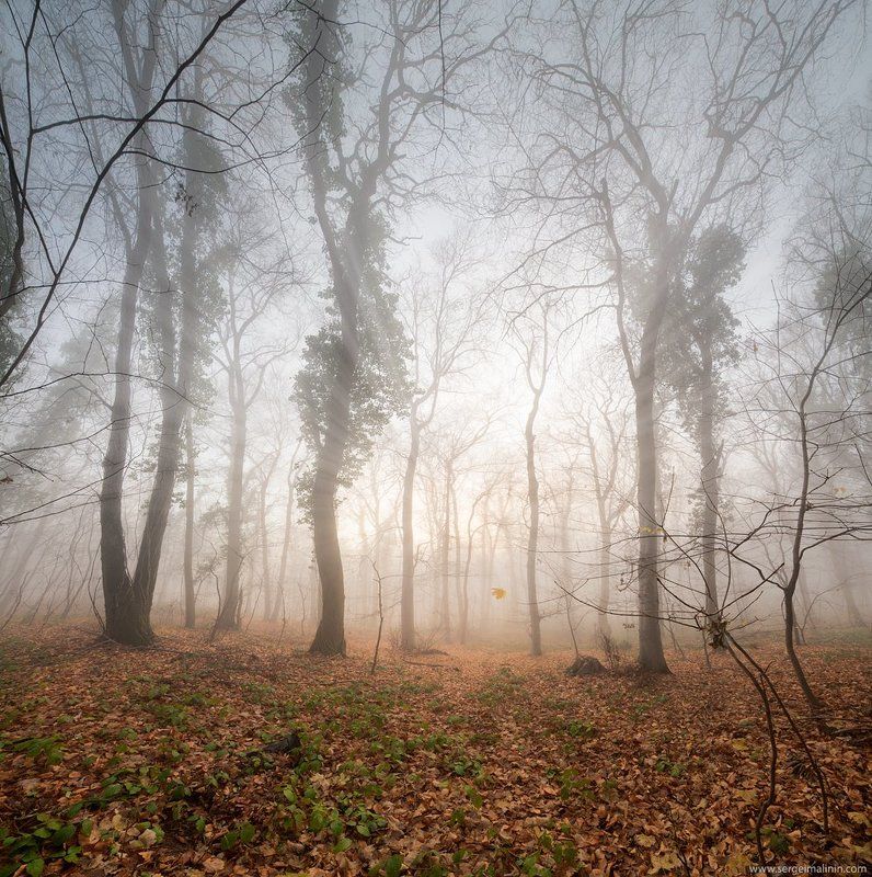 Fruska Goraphoto preview