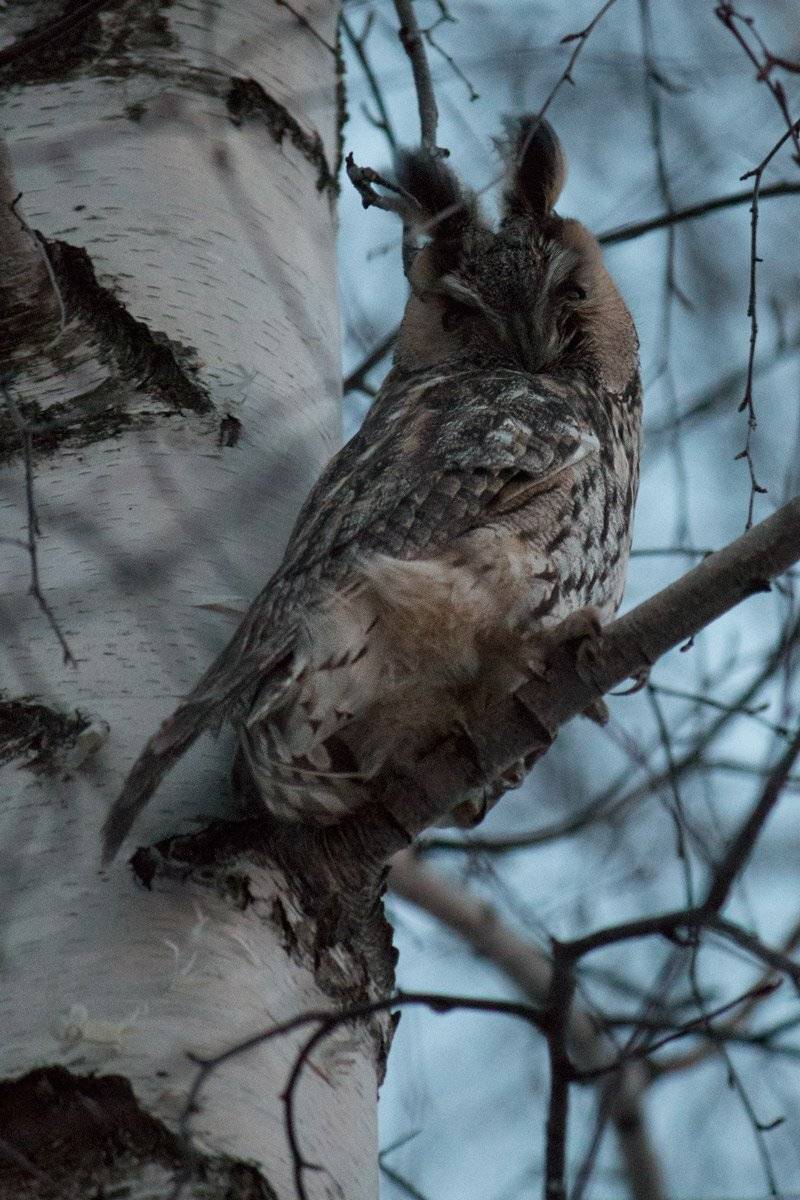 , Александр