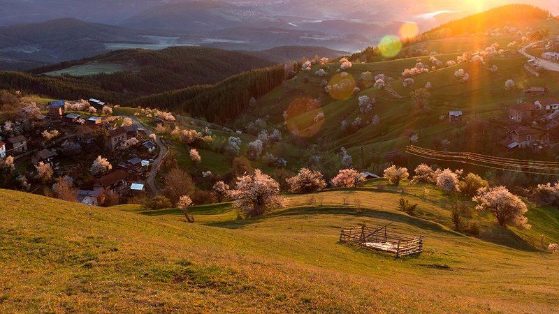 mountain, rodopi, болгария, вulgaria, гора, родопи Родопиphoto preview