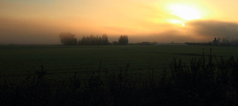 7D, Animals, Birds, Hahula, Lake, Nature, Sigma 150-600, Животные, Заповедник, Озеро, Природа, Птицы Немножко о заповеднике Ахула и его обитателяхphoto preview