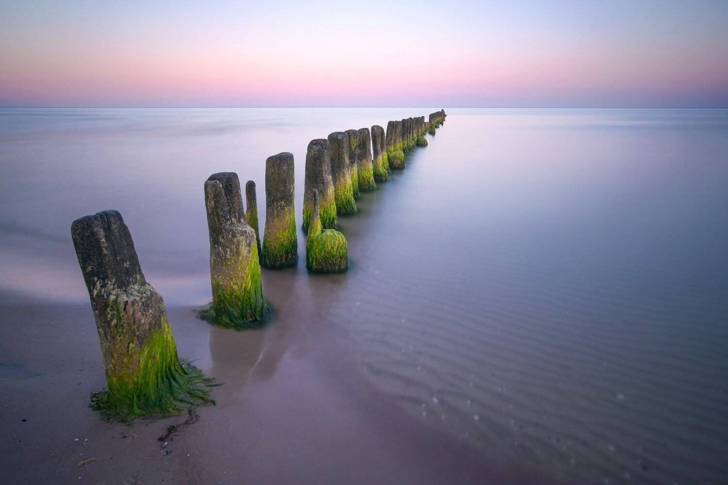 Морские солдаты. Автор: Olegs Bucis latvia baltic sea beach summer, Olegs Bucis