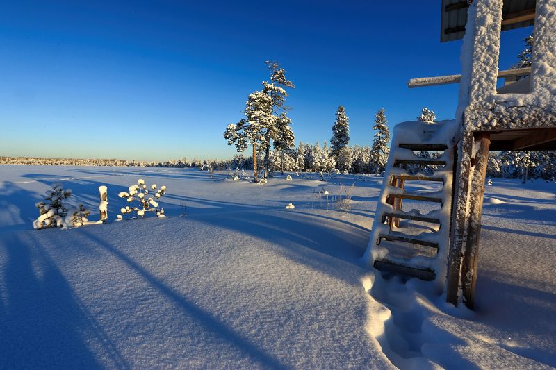 зима, озеро, снег, тени Длинные тениphoto preview