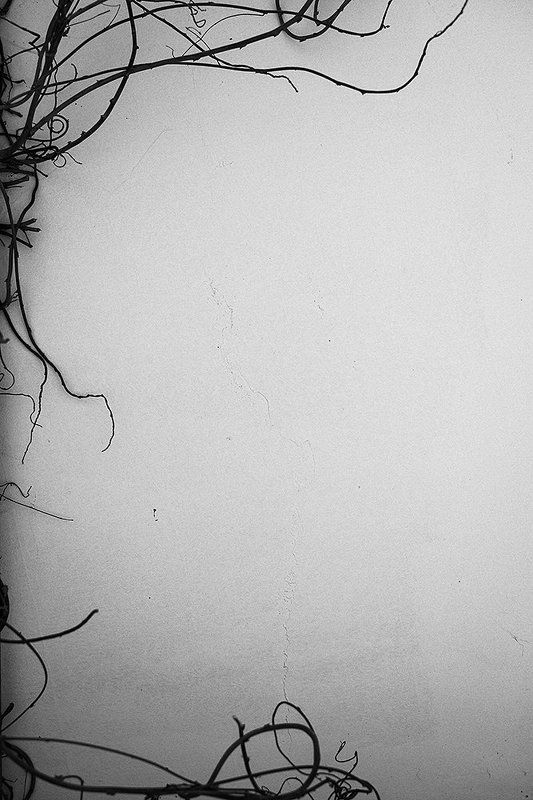 Without contentphoto preview