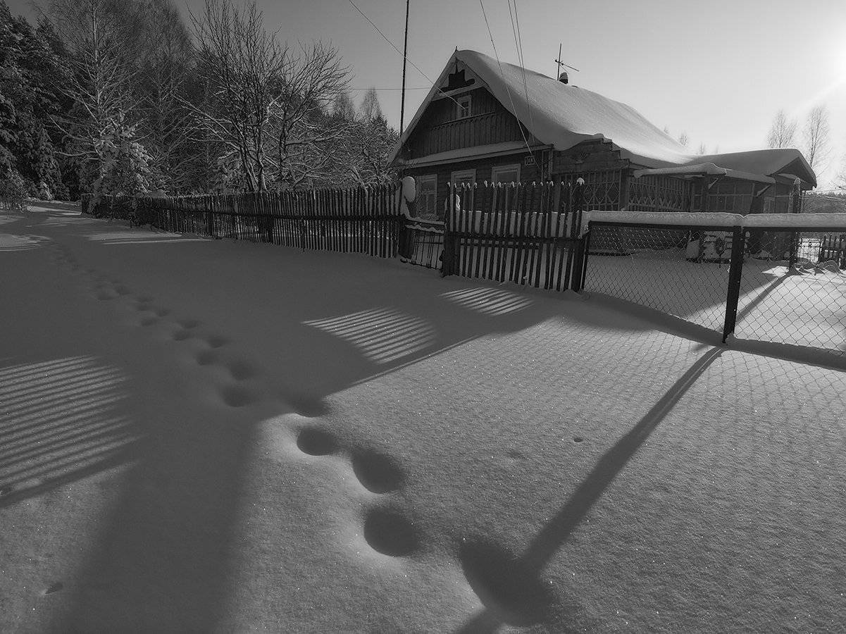 , Владимир Перепечаев