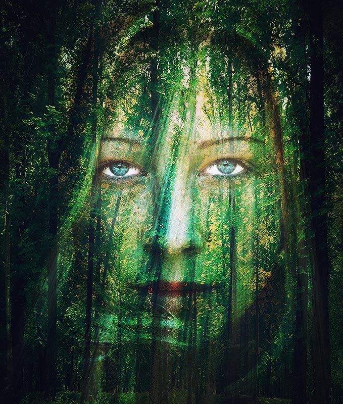 OutOfTheWoods Out Of The Woodsphoto preview