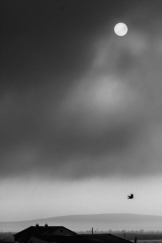 Такое вот солнце сегодняphoto preview