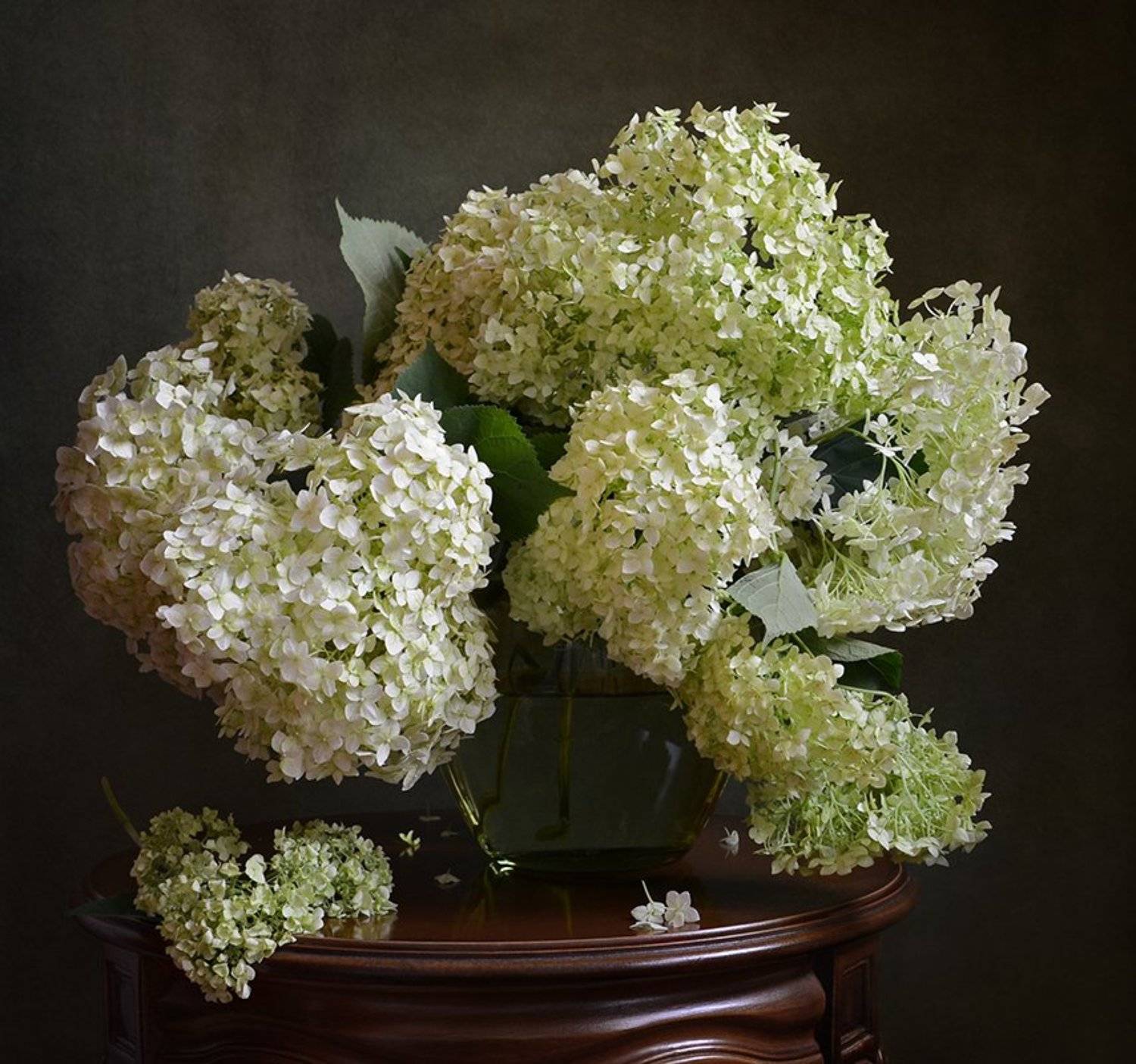 натюрморт, гортензия, цветы, букет, Elena