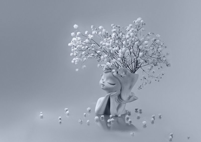 Этюд с гипсофилой 2photo preview