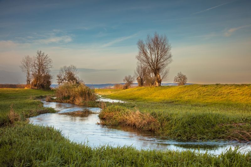 river, meadow, trees, sunset, landscape ...with the flowphoto preview