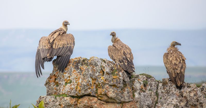 Пункт релакса Сипов. photo preview
