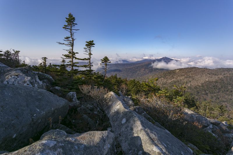 Горы, туман, утро photo preview