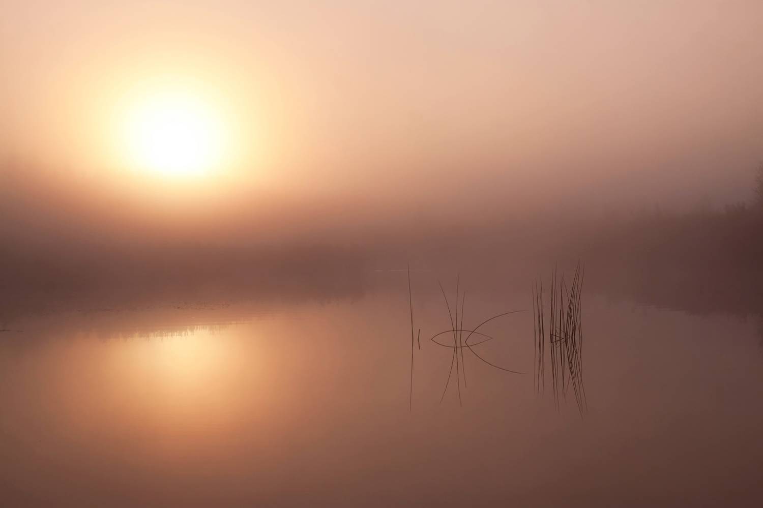 September morning. Автор: Eugenijus Rauduve , Eugenijus Rauduve