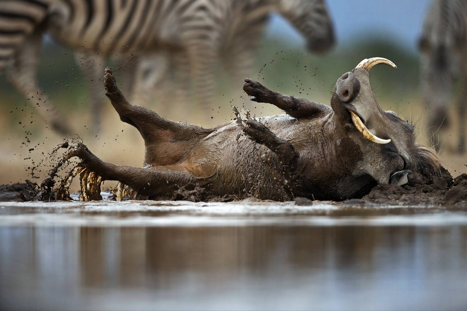 , Александр Перов