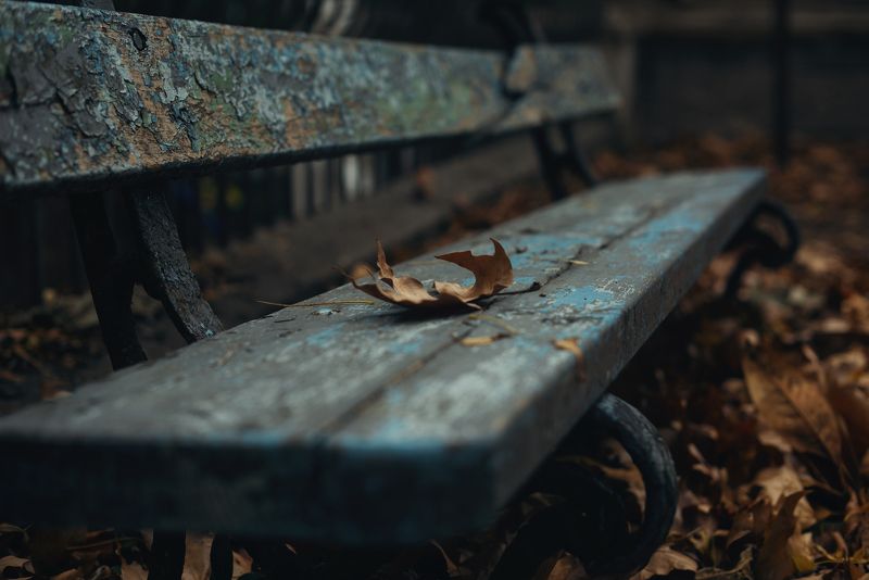 осень, скамейка, листва Забытая скамейкаphoto preview