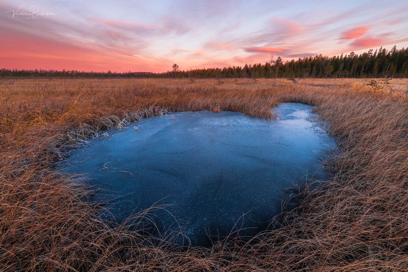 Рассвет на болотах фото превью