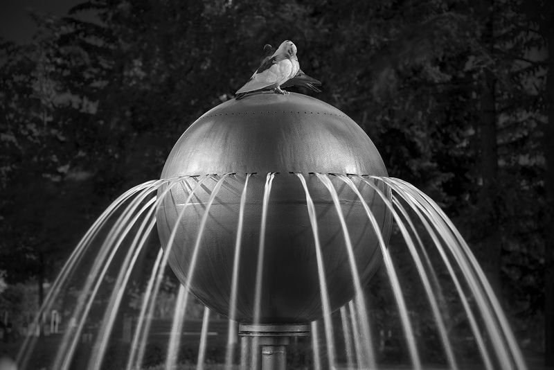 пейзаж, город, фонтан, шар, струи, голубь, мир, красноярск, архитектура Фонтан у театральной площадиphoto preview